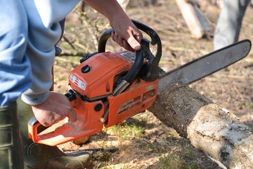 timber-harvesting-1