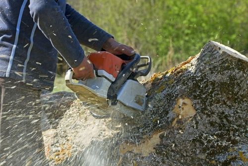 timber-harvesting